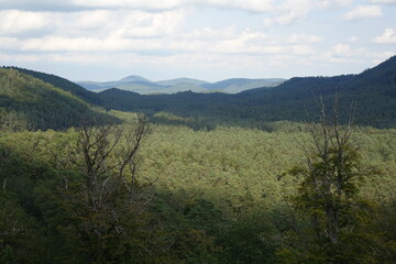 Fototapeta premium Scenic view over Palatinate Forest and the Vosges from the ruin of medieval fortress Lützelhardt, chateau de Lutzelhardt near the French German border, Obersteinbach, Alsace, Grand Est, France 
