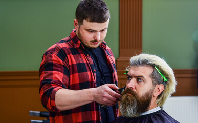 mature hipster with beard and moustache care his hair in barbershop, barber