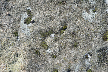 Close Up of Textured Stone Wall