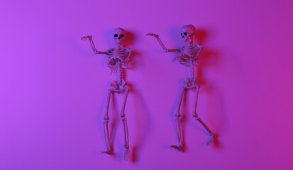 Scary skeletons in pink neon light