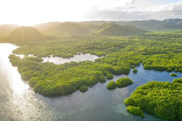 Anavilhanas archipelago, flooded amazonia forest in Negro River, Amazonas, Brazil. Aerial drone...