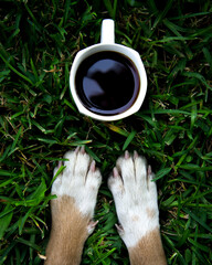 Dog paws in the grass with a cup of coffee