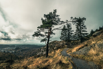 Hiking trail in Norway