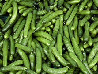 Gurkenkiste auf dem Markt