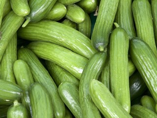 Gurkenkiste auf dem Markt