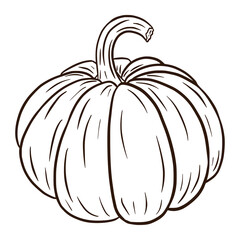 Line Art Pumpkin Illustration. Autumn Food Icon. Ripe squash sketch. Element for autumn decorative design, halloween invitation, harvest, sticker, print, logo, menu, recipe.