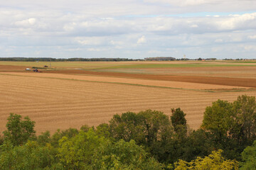 Obraz premium Centre - Loiret - Champ de Blé