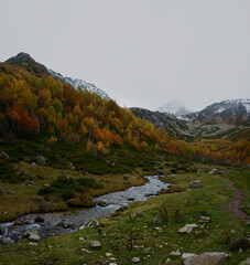 mountain landscape in autumn