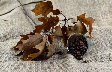 Rozsypane ziarna kawy i suche jesienne liście. - obrazy, fototapety, plakaty