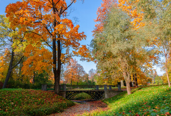 Alexander park in autumn, Pushkin (Tsarskoe Selo), St. Petersburg, Russia