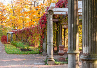 Saint Petersburg, Russia - october 2021: Pergola in private garden of autumn Catherine park,...
