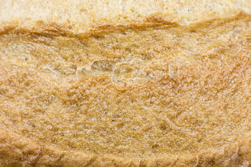 Roasted Bread texture background. Loaf Bakery concept. Close up, macro photo. Beautiful natural wallpaper.