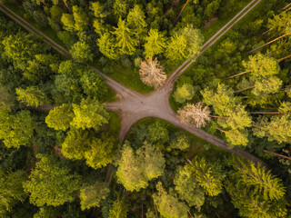 Aerial top view of street crossing in the forest