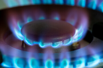 Gaz brûlant avec des flammes bleues sur le brûleur d'une cuisinière à gaz. Concept d'empreinte carbone et de prix du gaz naturel sur le marché - obrazy, fototapety, plakaty