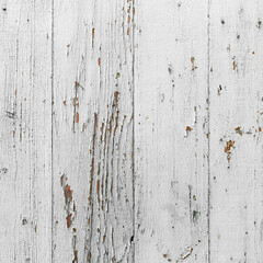 The white wood texture with natural patterns background