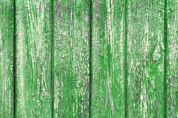 Fototapeta na wymiar The old green wood texture with natural patterns