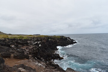 Fototapeta na wymiar cliffs of galapagos