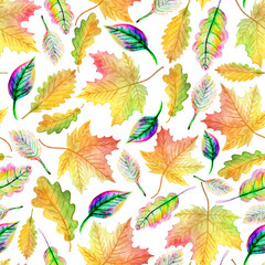  Hand drawn watercolour. Colourful autumn leaves on a white background. Seamless pattern.