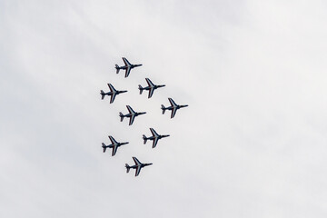 birds flying in the sky