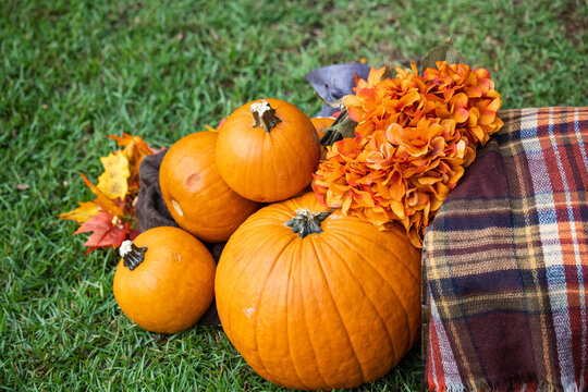 An outdoor set up of a crate with a fall autumn plaid brown blanket and lots of bright orange pumpkins and flowers for fall decor or pictures