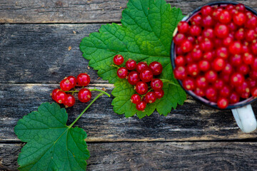 a handful of red currants on a dark background. High quality photo