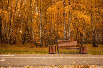 The yellow leaf has fallen to a garden bench