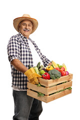 Mature farmer holding a crate full of fresh organic vegetables