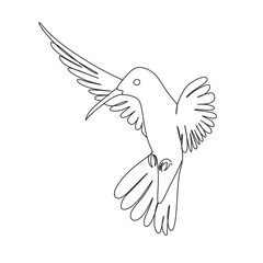 Hummingbirds, exotic birds, tropical, hummingbird png.Continuous line bird. Black and white vector illustration. One line...