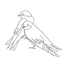 Swallow Tattoo  On White Background. Bird Icons vector one line drawing.
