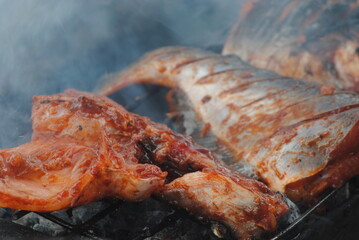 grilled meat on the grill