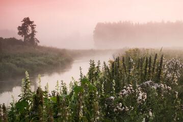 wschód słońca nad rzeką © Kuba Zdanowicz