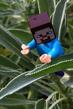 รูปภาพCineol – เลือกดูภาพถ่ายสต็อก เวกเตอร์ และวิดีโอ457 | Adobe Stock