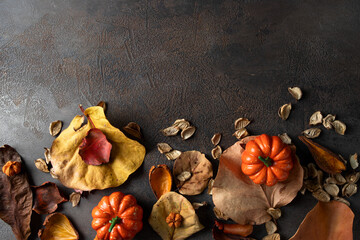 Traditional  pumpkins  and fall dry leaves on dark background. Autumn season and Thanksgiving day...