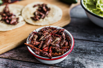 grasshoppers or chapulines snack. Traditional mexican food from Oaxaca Mexico	