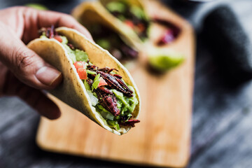 hand holding tacos de chapulines or grasshopper taco traditional in mexican food with homemade...