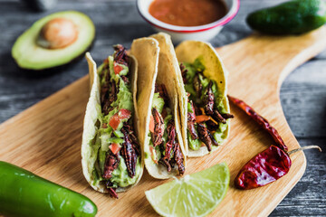 tacos de chapulines or grasshopper taco traditional in mexican food with homemade guacamole sauce...