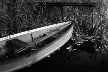 łódź na jeziorze - obrazy, fototapety, plakaty