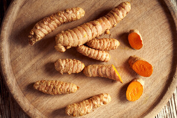Fresh turmeric root on a table, top view