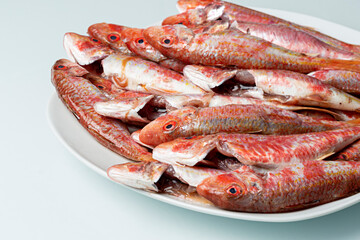 Plato con salmonetes frescos.
