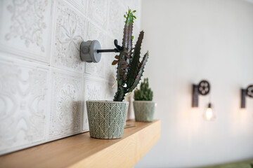 Gorgeous houseplants in the patterned flowerpots on a wooden mantelshelf