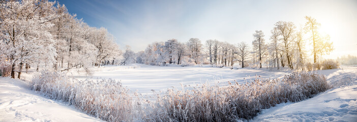 Panorama of beautiful winter park