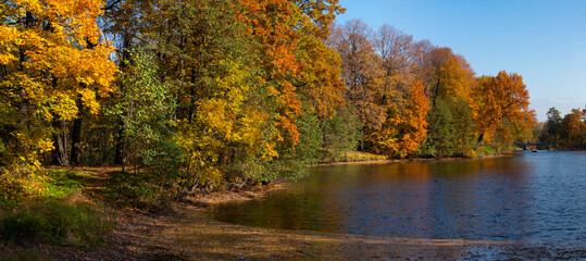 Obraz na płótnie Canvas Autumn landscape, colored trees over the pond, beautiful picturesque background. Natural paints. Beautiful view. Panoramic.