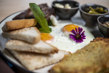 grilled eggplant rolls. breakfast