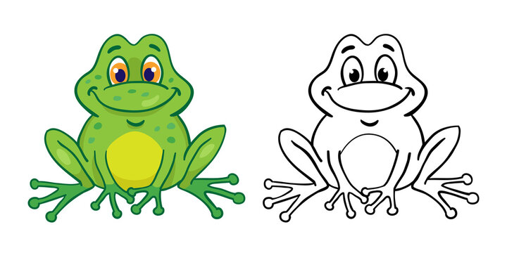Funny green frog and its outline drawing. In cartoon style. Isolated on white background. Vector illustration. For coloring book.