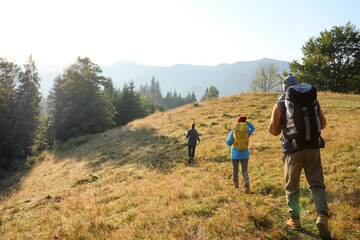 Obraz premium Tourists with backpacks hiking in mountains on sunny day, back view