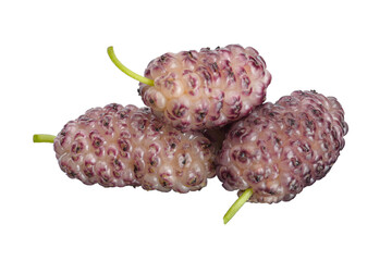three berries of fresh sweet white mulberry on a white isolated background.