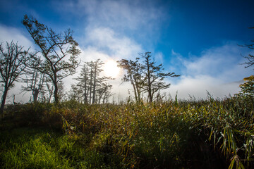 群馬県　秋の尾瀬ヶ原