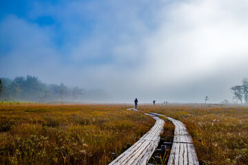 群馬県　秋の尾瀬ヶ原