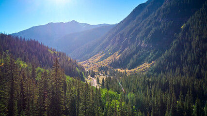 Vast mountain valley filled with pine trees and dirt road in distance