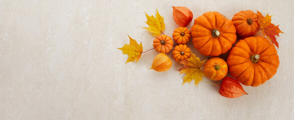 Autumn framework from pumpkins, berries and leaves on a travertine background. Concept of Thanksgiving day or Halloween.